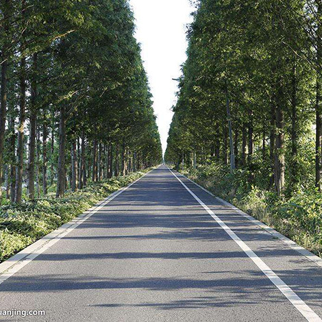 微山县林业局林场道路建设项目