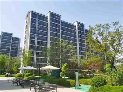 德州市陵城区义渡口镇美丽乡村示范村工程