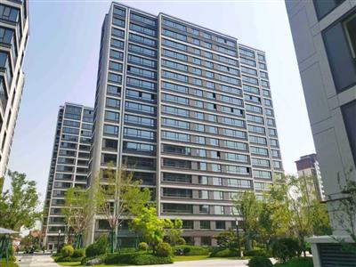 安居街道采购代理、审计、监理、 评估服务机构、拍卖服务机构框架协议采购项目